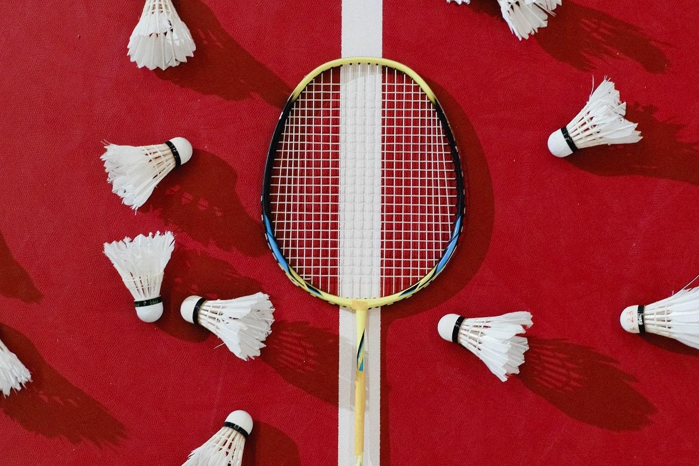 Best Badminton Racket Brands at Badminton Warehouse!