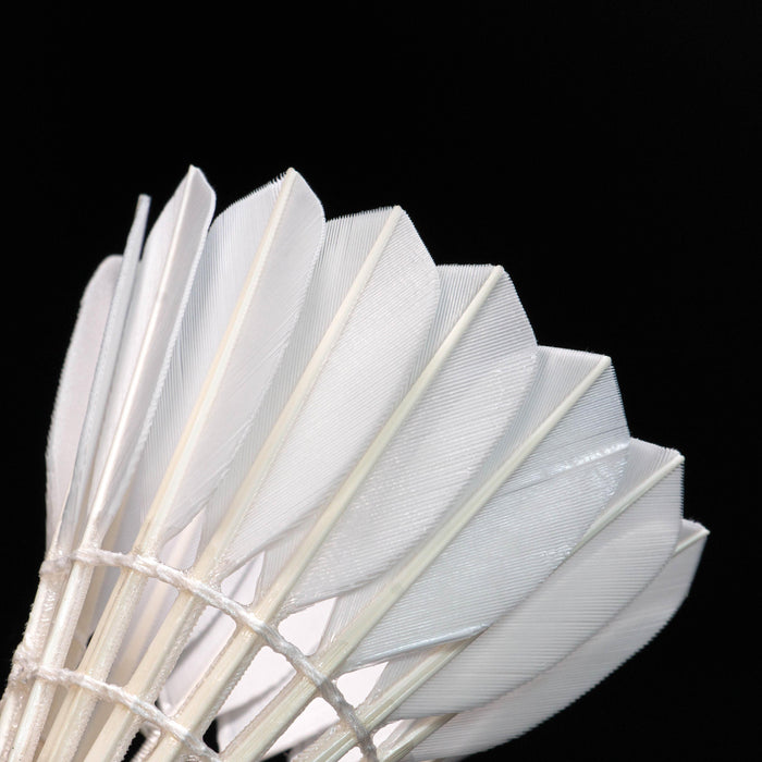 LingMei 90 Pro Badminton Shuttlecock (Goose Feather) on sale at Badminton Warehouse