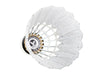 Victor Carbonsonic NCS Pro Hybrid Shuttlecock on sale at Badminton Warehouse