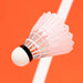 Victor NCS Pro Badminton Shuttlecock on sale at Badminton Warehouse!