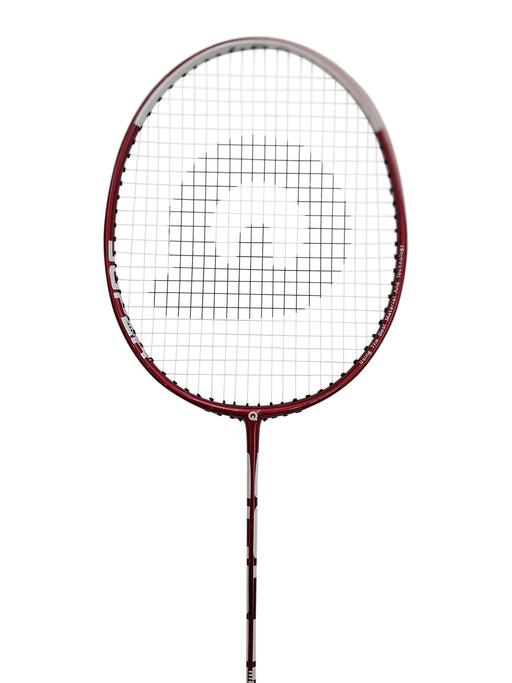 Qiangli B81 Badminton Racket on sale at Badminton Warehouse