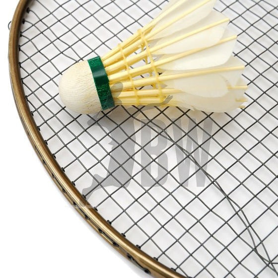 Choosing a Shuttlecock: Selecting the Most Important Item in Badminton
