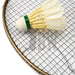 Stringing Services on sale at Badminton Warehouse